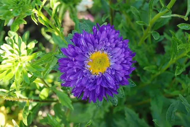 떨어뜨리다 떨어트리다 맞춤법 혼동 끝 예문으로 완벽 이해하기_3