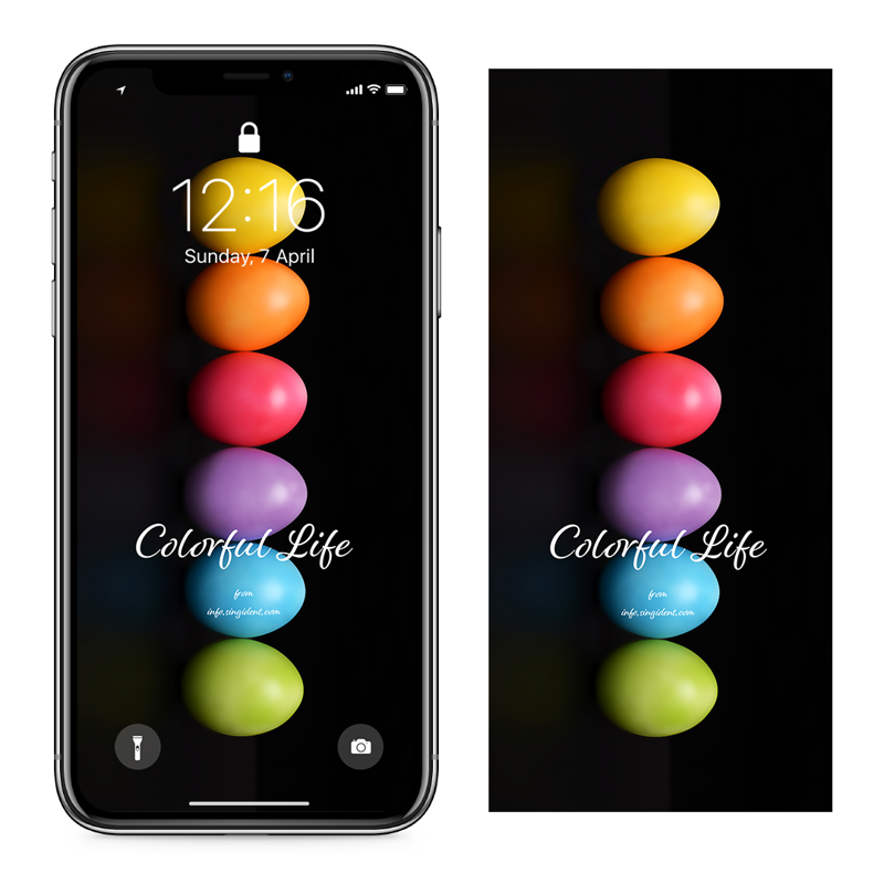 12 유광 컬러 계란 검정배경 C - Colorful Life 부활절계란배경화면