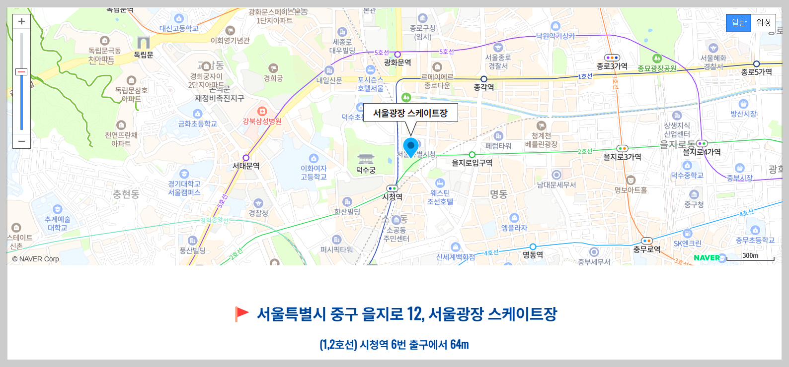 서울광장 스케이트장