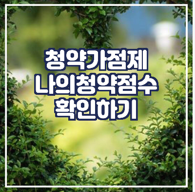 나의-청약점수-계산