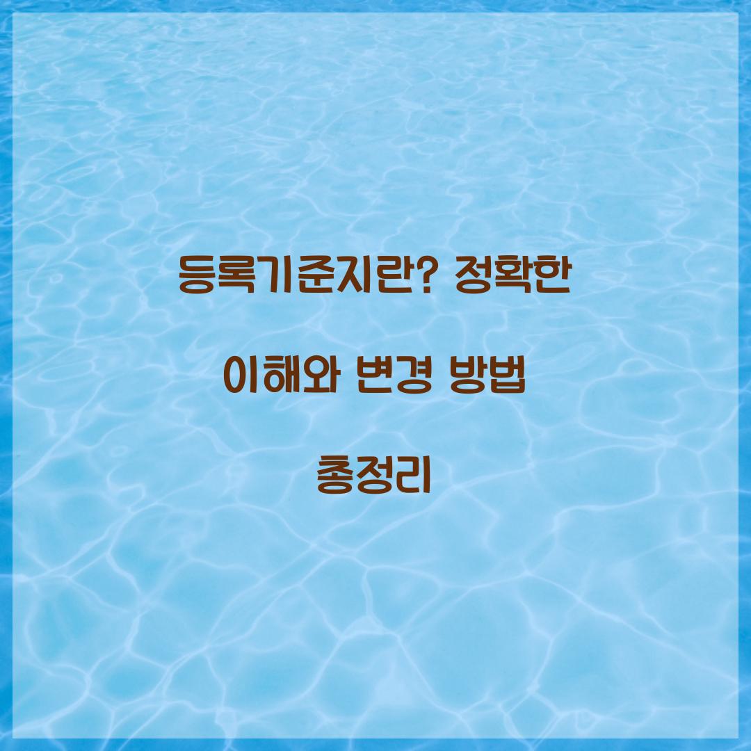 등록기준지란