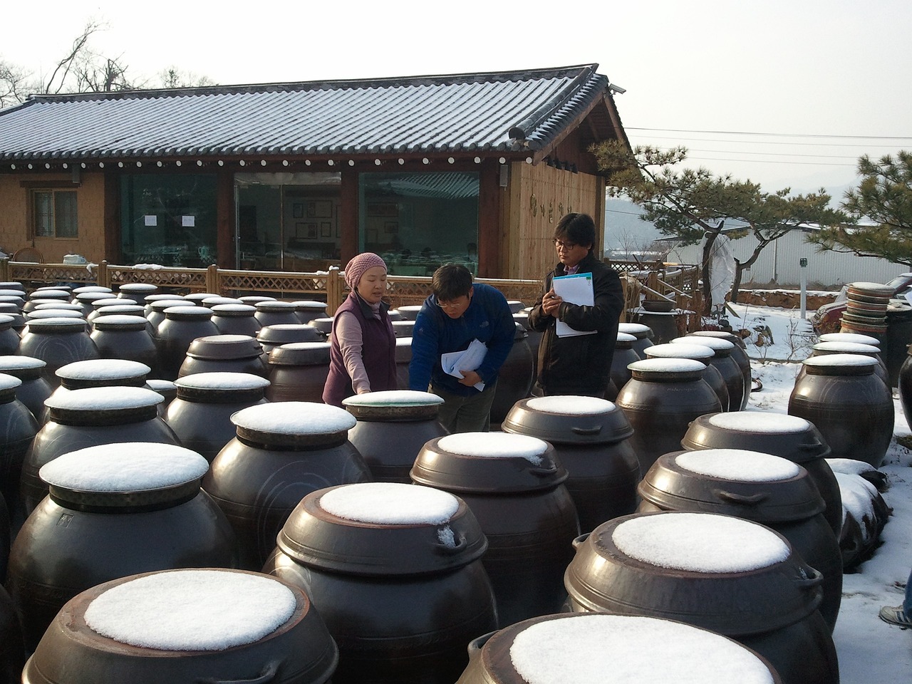 메주 발효 시 주의해야 할 점 – 곰팡이 관리와 위생 팁
