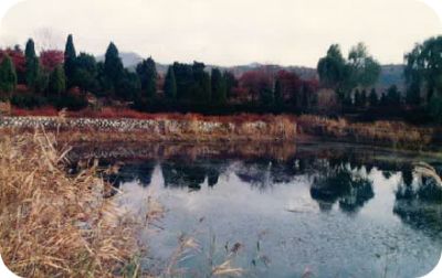 벽초지수목원 가을국화축제 정원안내 OUR STORY2005SUS 이미지/ 출처: 벽초지수목원 홈페이지 