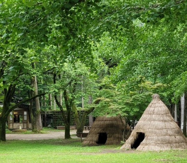 2024 년 남이섬 국내여행 /나미나라 공화국