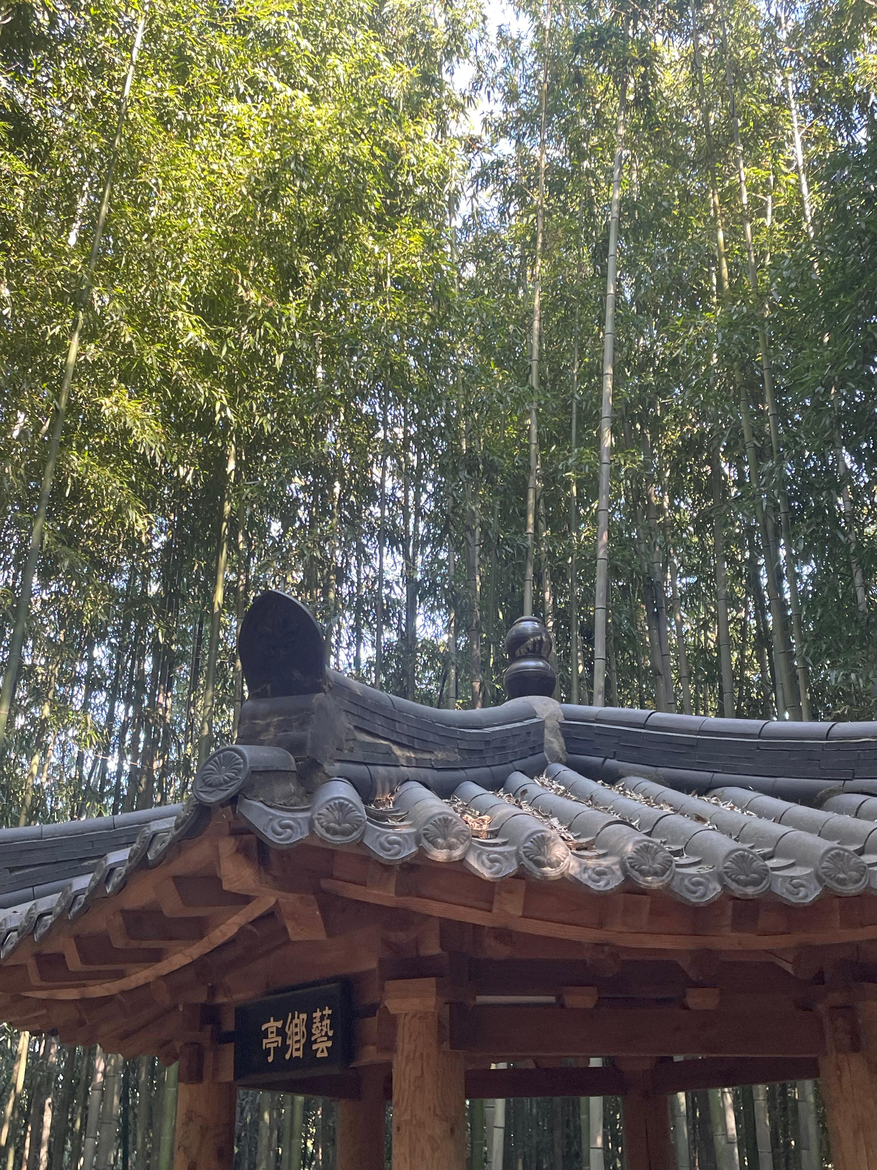 죽녹원 내부