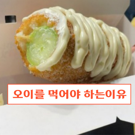 오이-효능12가지