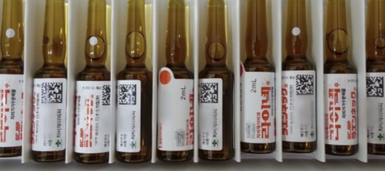 태반주사 효능4