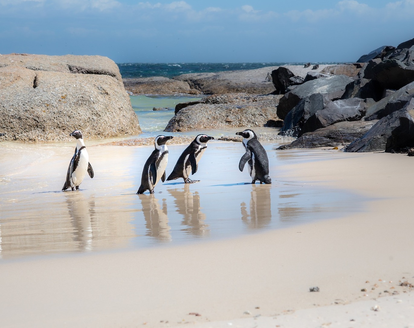 기후 재난이 일상이 된 이유 지금 이 순간에도 진행 중인 5가지 경고 신호