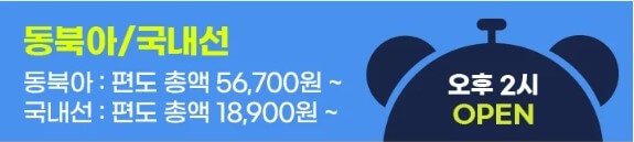 2024 진에어 초특가 항공권