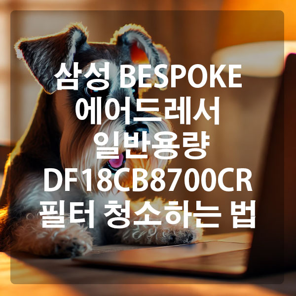 삼성 BESPOKE 에어드레서 일반용량 3~5벌 DF18CB8700CR 필터 청소하는 법