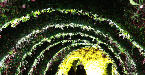 2025 함평 겨울빛축제