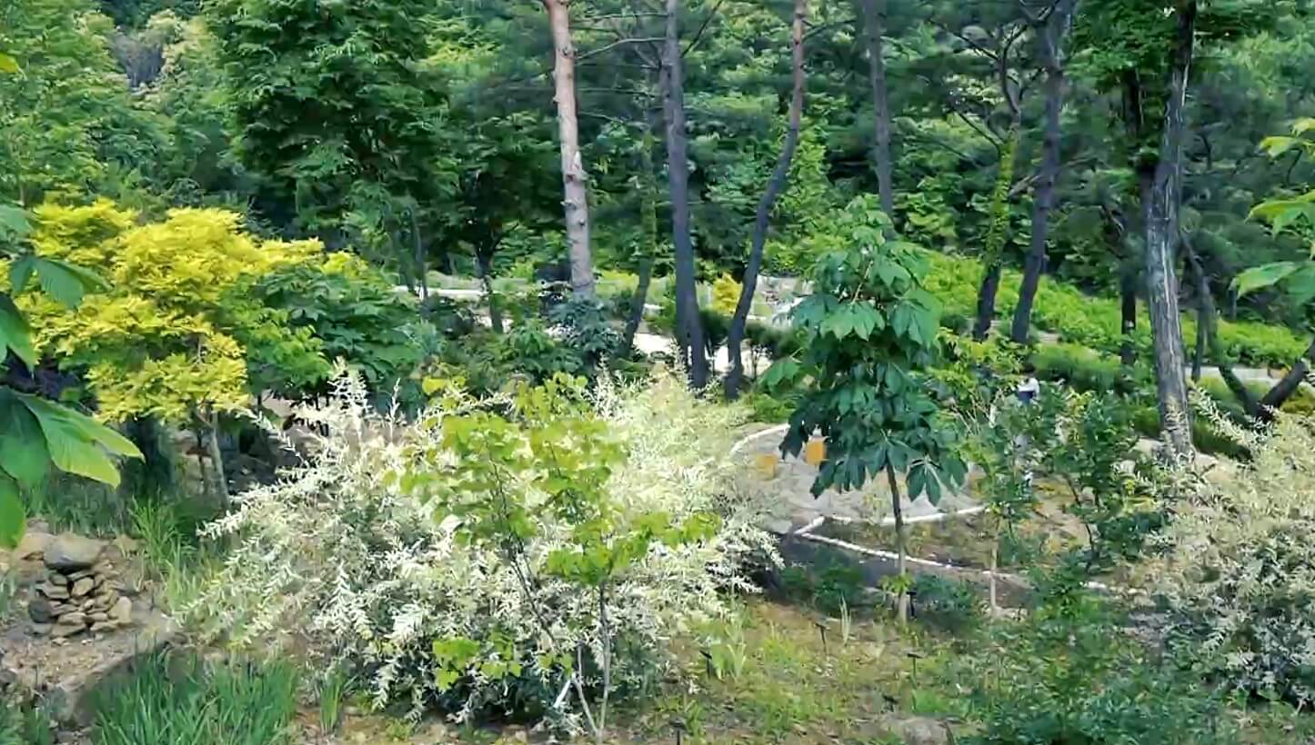 구례수목원