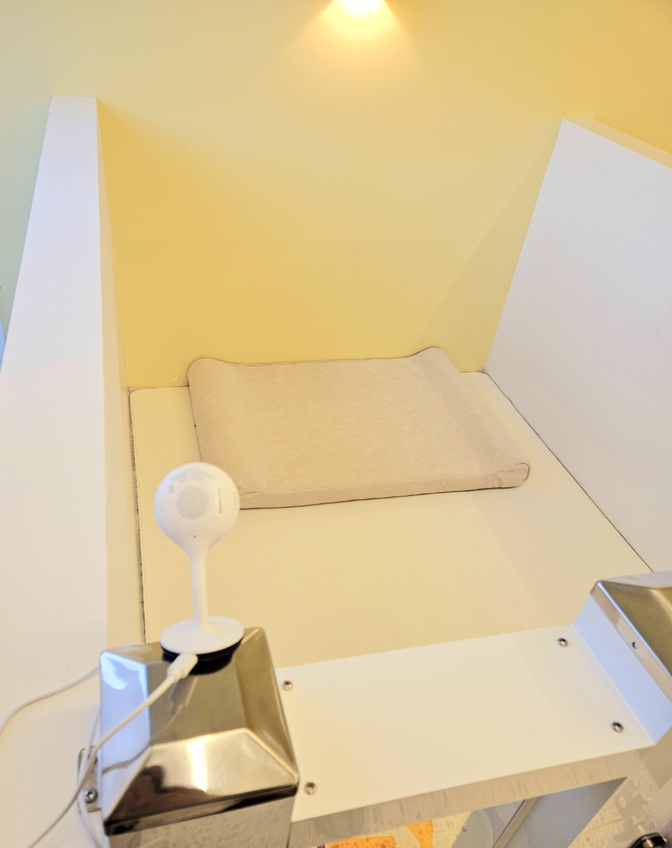 김포 사우동 애견미용 애견호텔