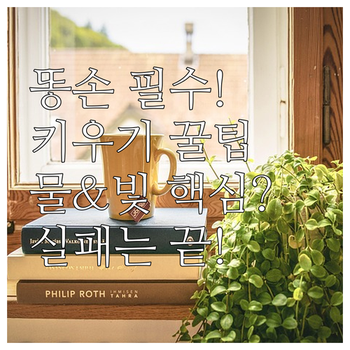 키우기 쉬운 식물 추천부터 물 주기 ..