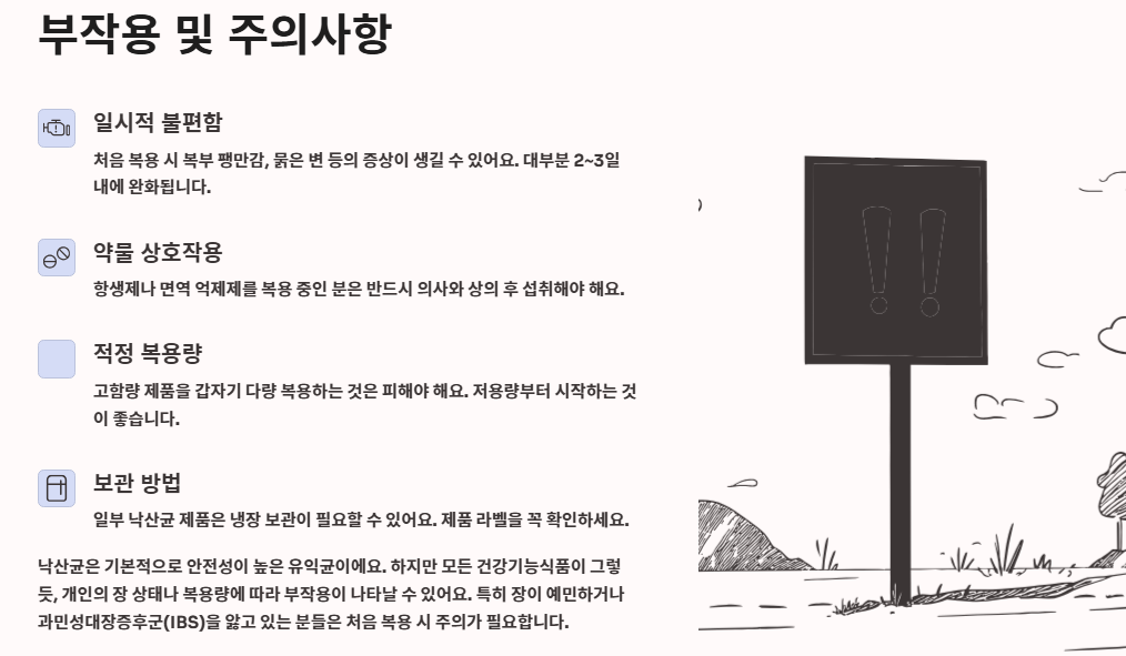 낙산균 효능, 유산균 차이, 프로바이오틱스 조합 총정리