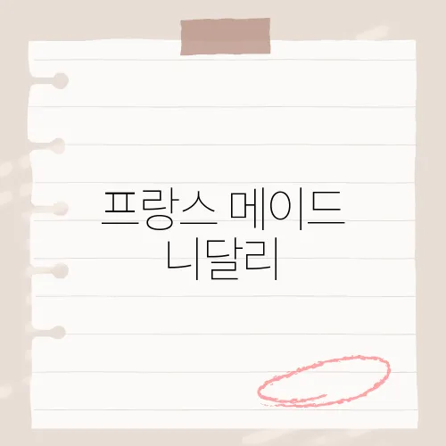 프랑스 메이드 니달리, 독특한 컨셉의 코스프레로 주목받는 이유는?