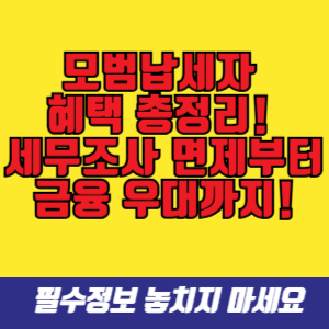 모범납세자 혜택 총정리! 세무조사 면제부터 금융 우대까지