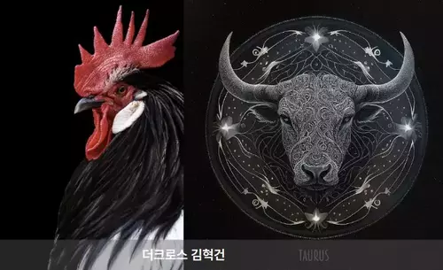 닭과 황소자리 표현한 그림