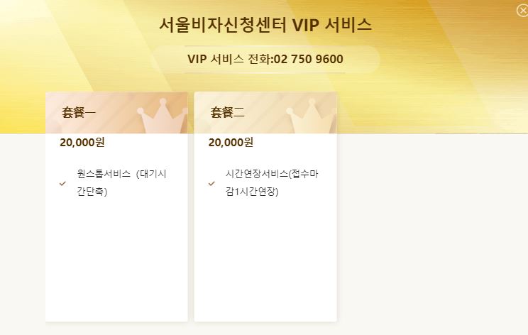 중국 비자 셀프 발급 방법