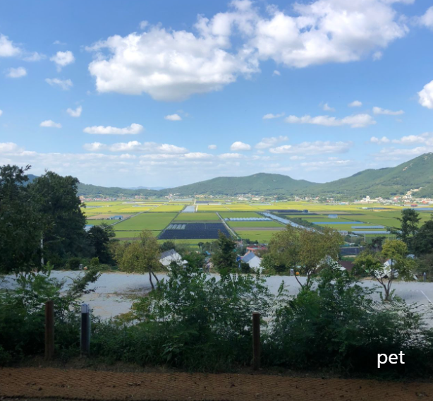 경기-인천-스톤캠핑장-예약-방법-애견-동반-가격-주소-시간-후기