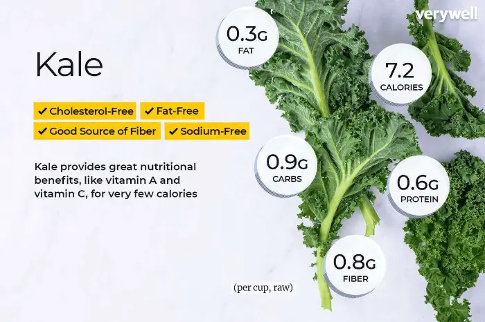 케일 Kale