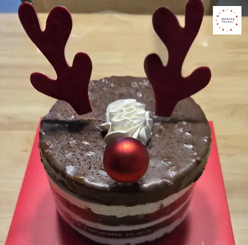 브라우니루돌프-투썸플레이스 크리스마스 케이크