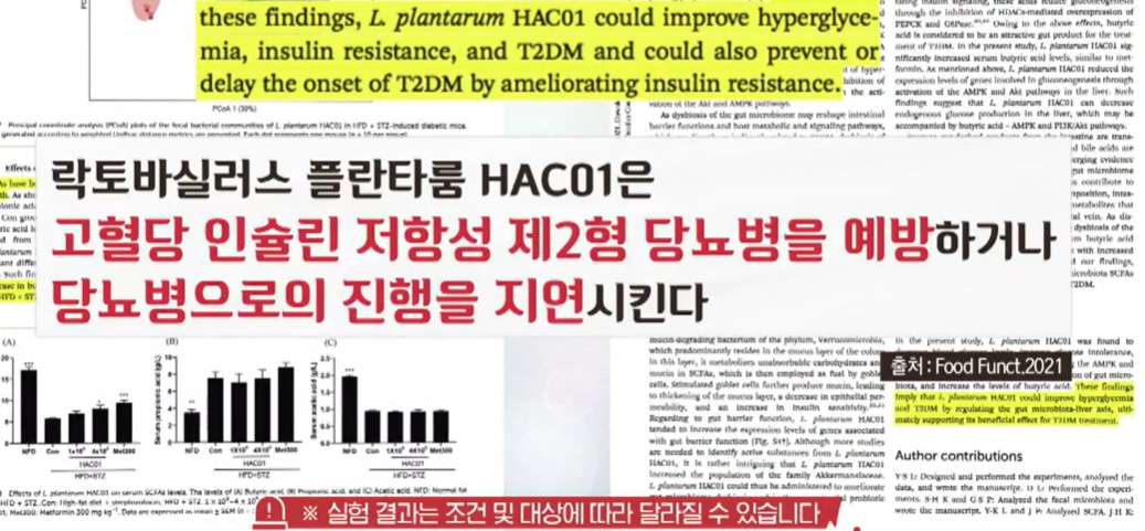 혈당유산균 효능