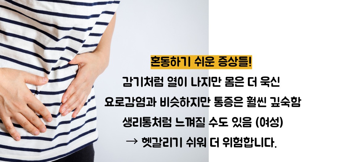 신우신염 증상