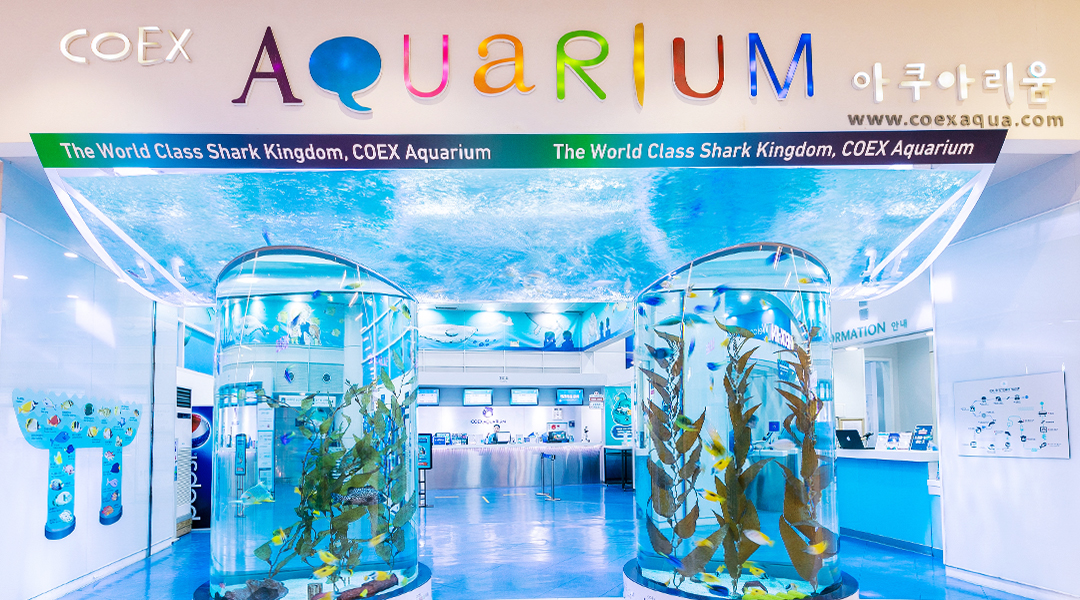 코엑스 아쿠아리움