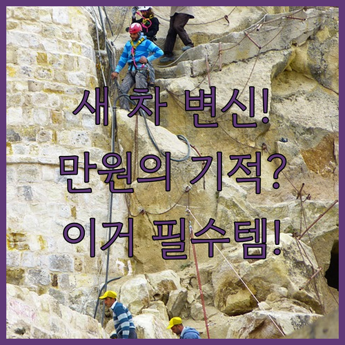 내 차를 새롭게 만드는 DIY 외관 ..