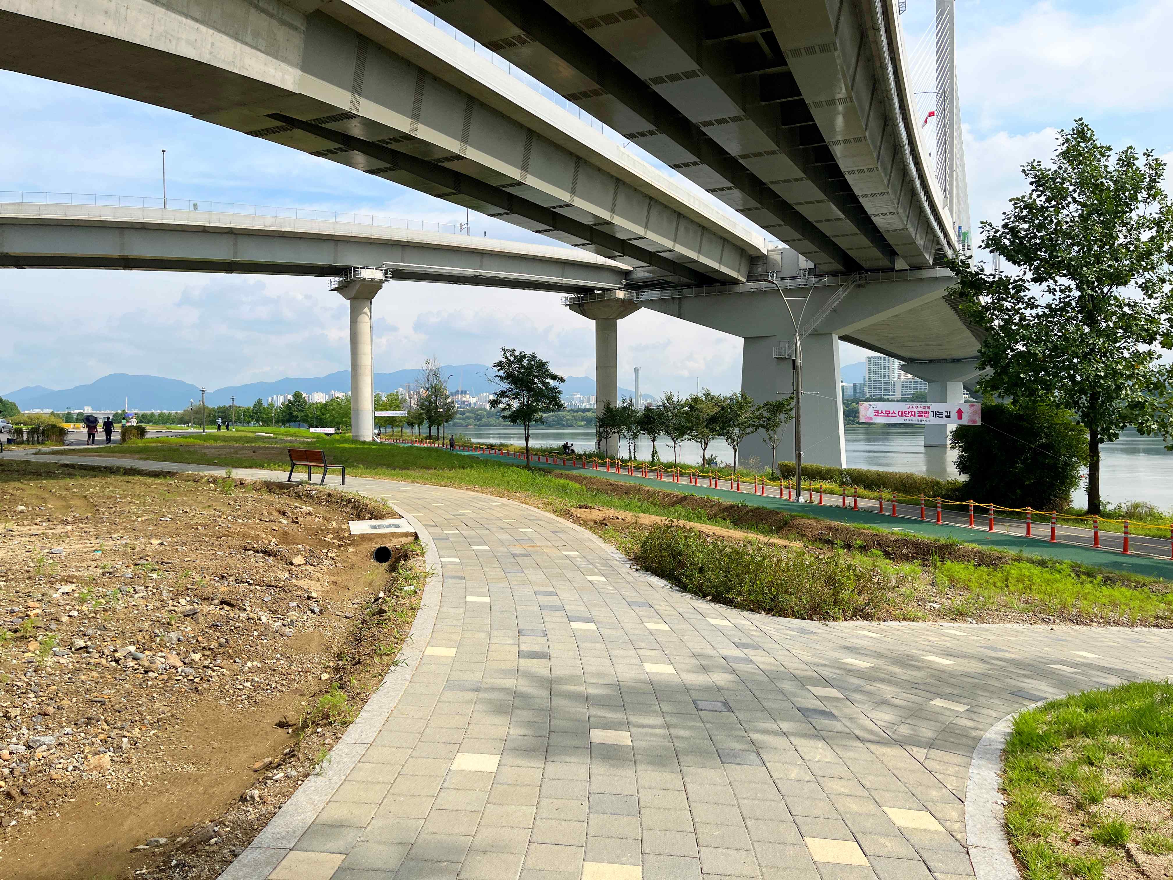 구리시민공원 코스모스