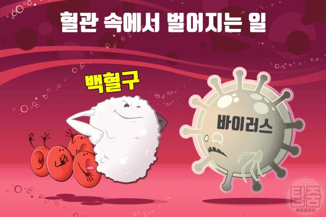 찬물 샤워 효과 면역력