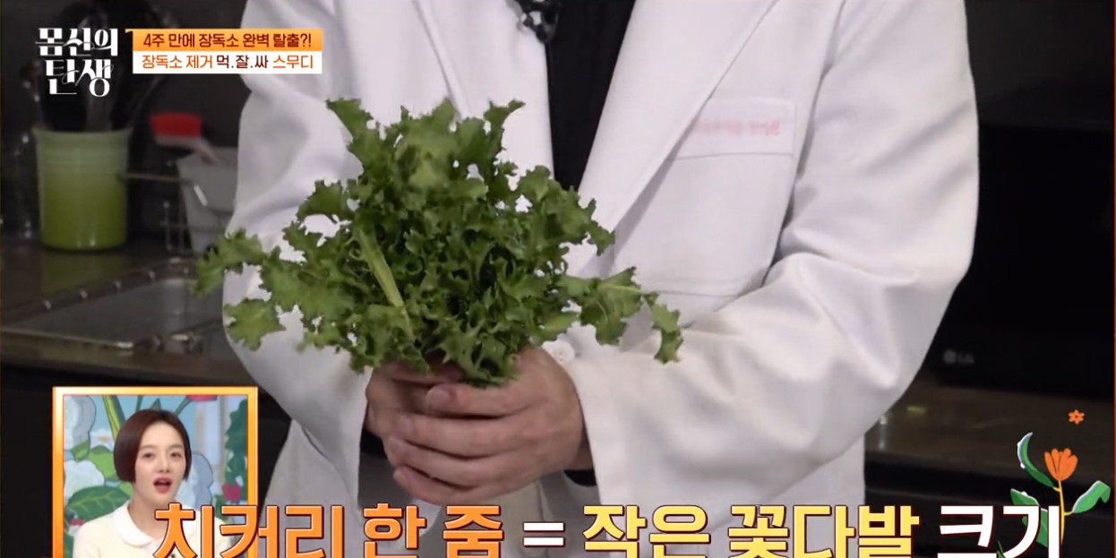 먹잘싸 스무디 치커리