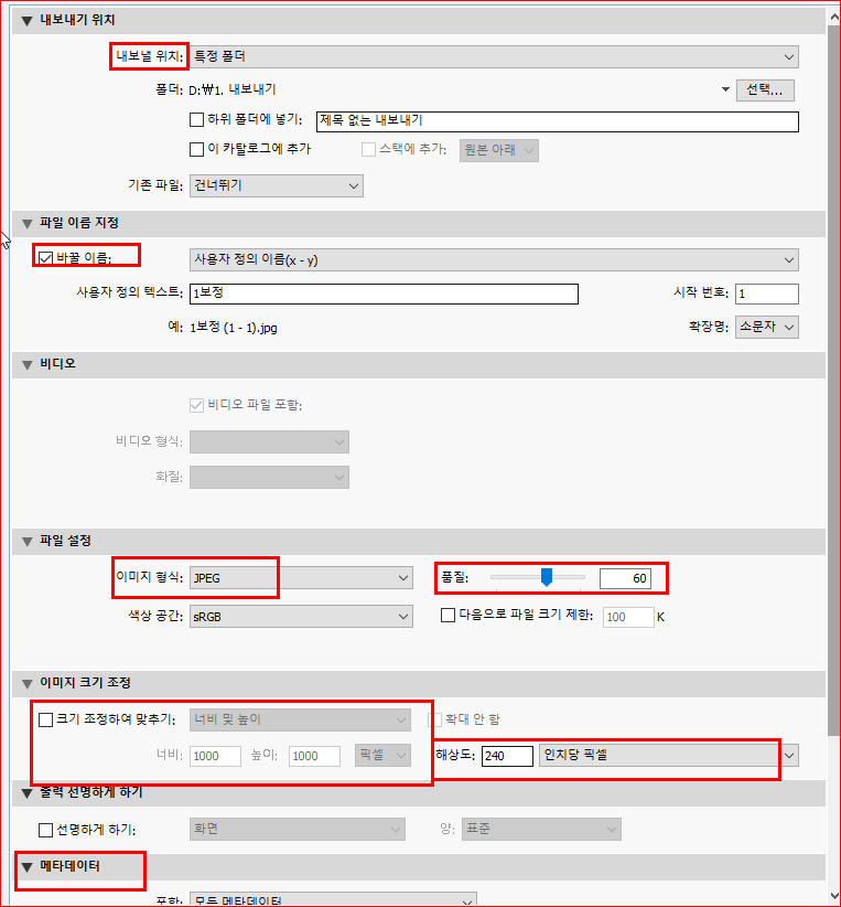 내보내기 설정옵션
