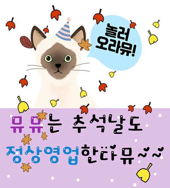 뮤뮤코인노래뮤비방 & 셀프사진관 율량점