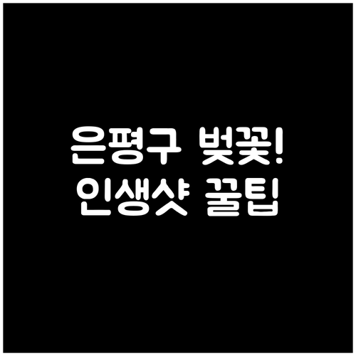 불광천 벚꽃부터 북한산 둘레길까지 은..