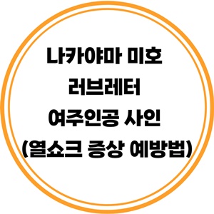 나카야마미호-러브레터-여주인공-사인-열쇼크-증상-예방법