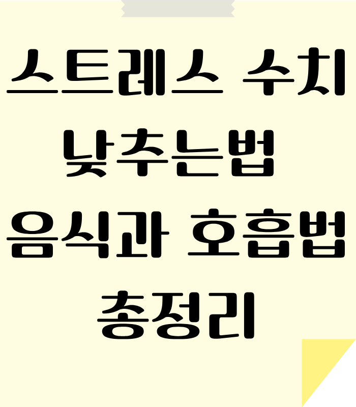스트레스 수치를 확인하고 낮추는 방법 알아보기