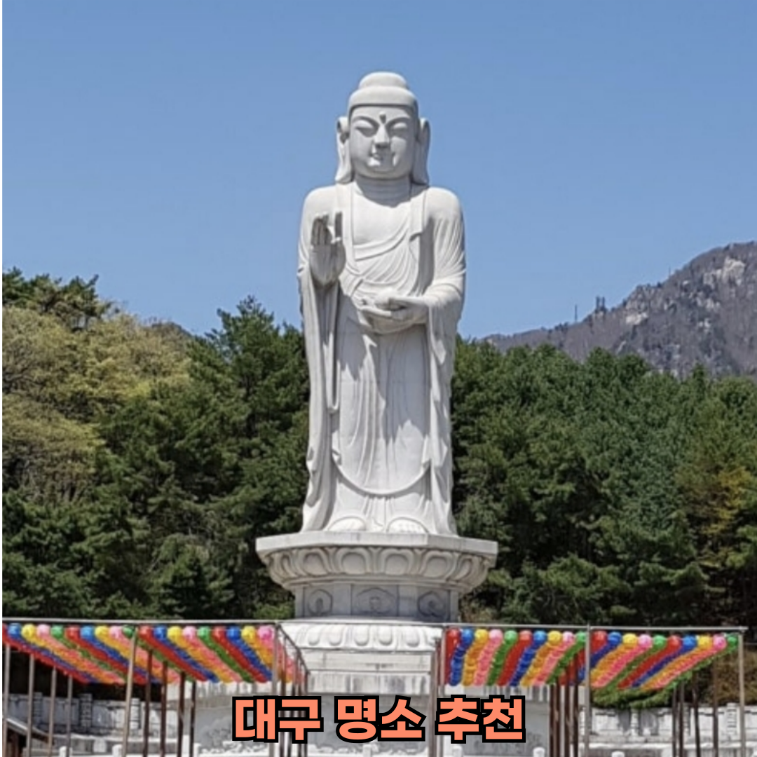 대구 근교 돗자리 봄 명소 추천