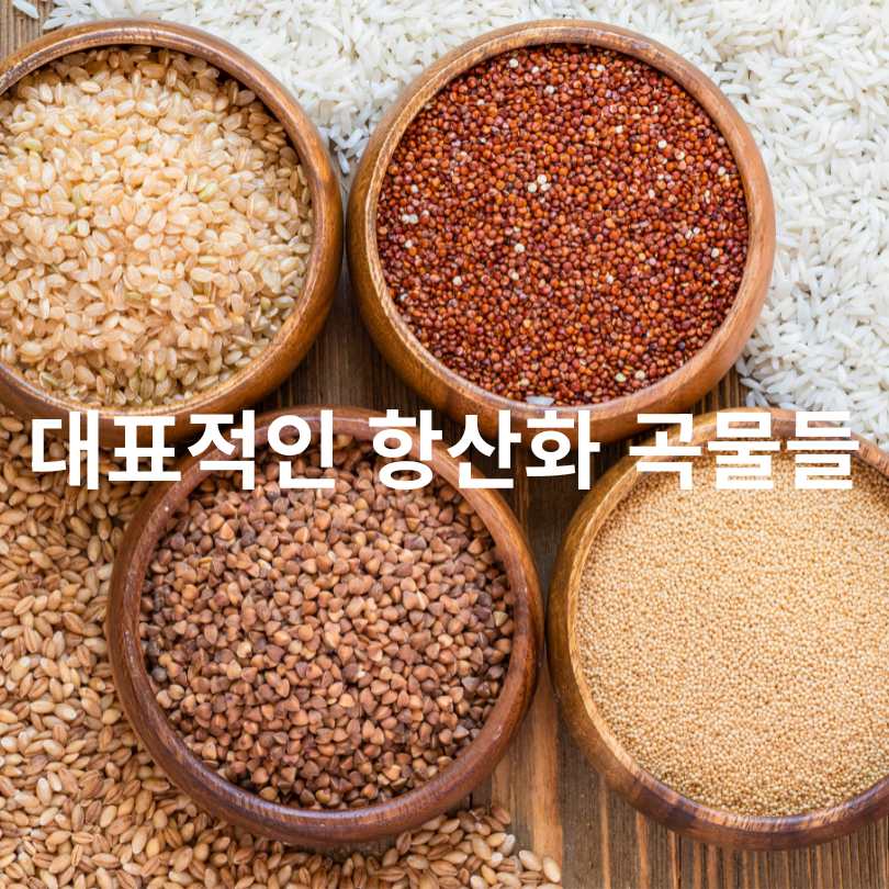 항산화 효과가 높은 곡물 BEST 6