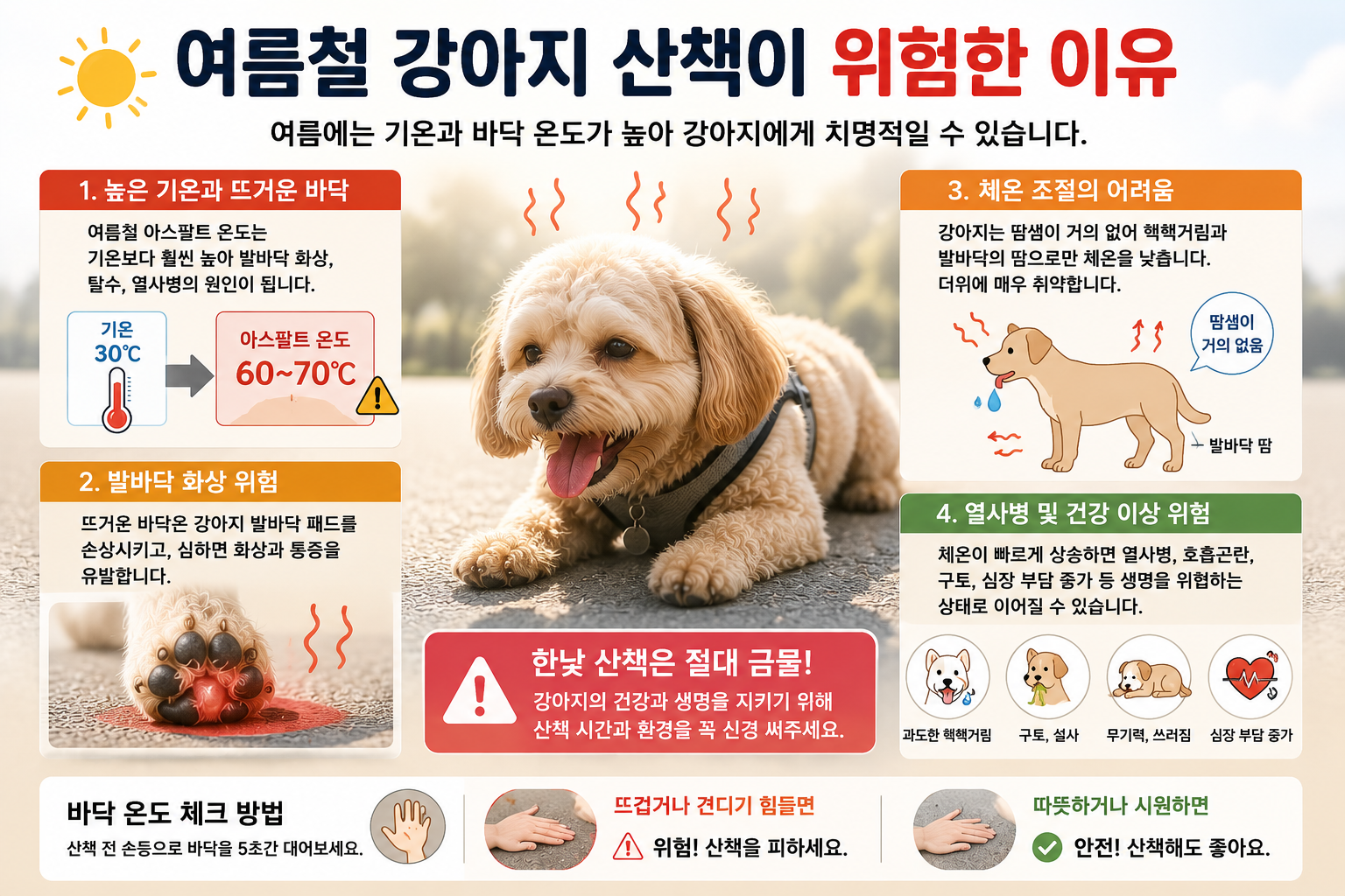 여름철 강아지 산책이 위험한 이유 이미지