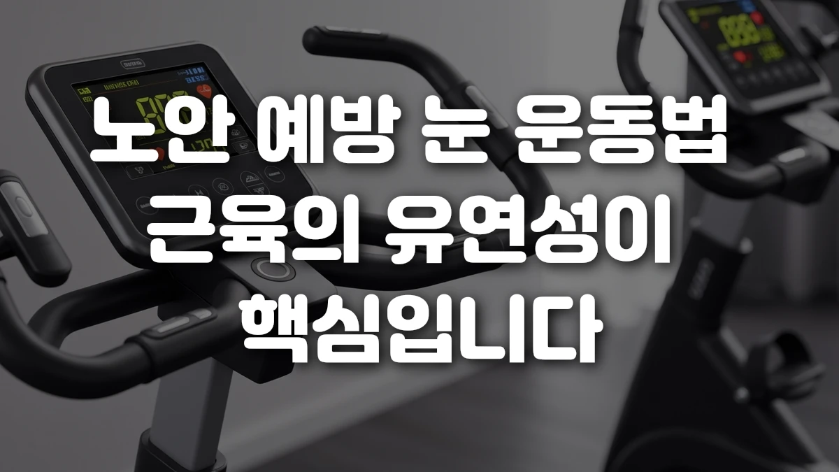 노안 예방 눈 운동법 근육의 유연성이 핵심입니다