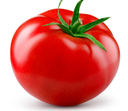 토마토