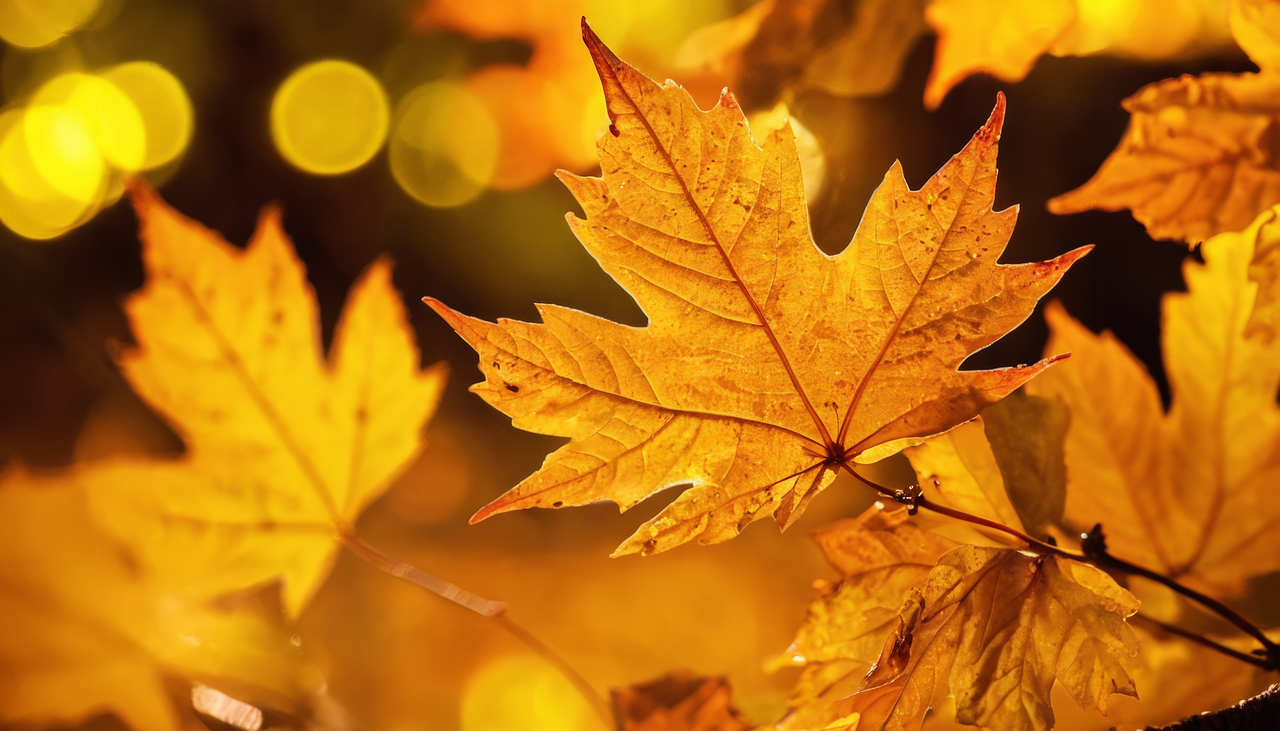 경상도 단풍 명소 🍁 가을 드라이브 &amp; 데이트 추천