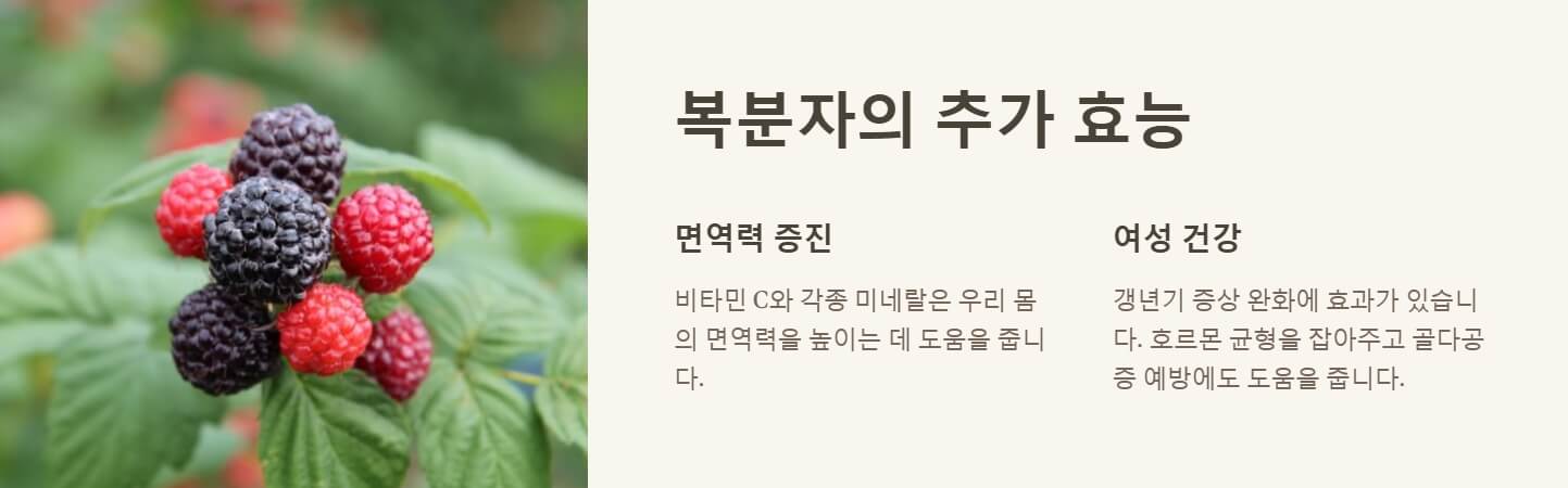 복분자 효능 부작용