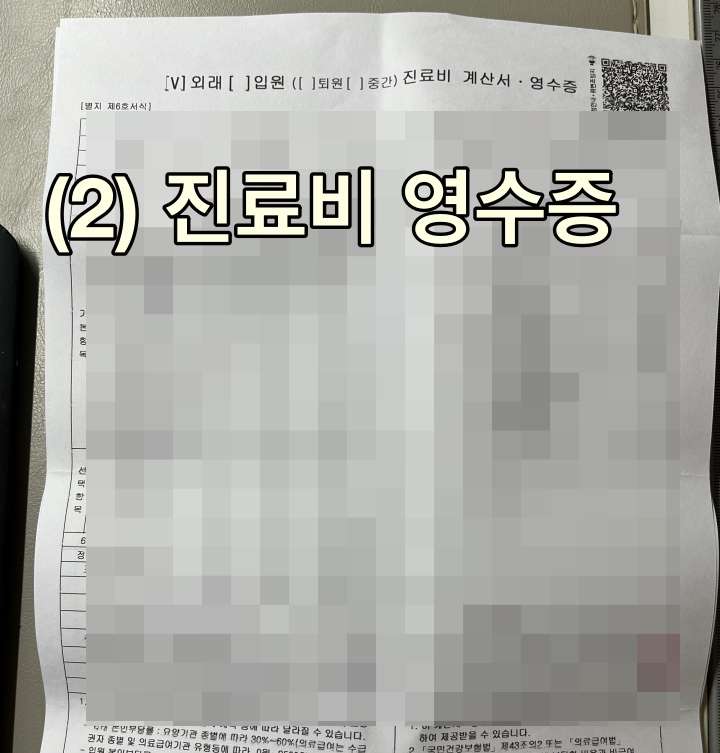진료비 영수증 서류 캡쳐 사진