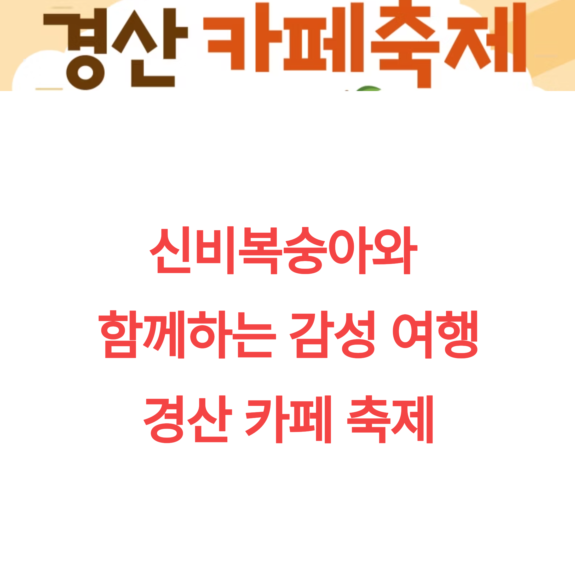 경산 카페 축제 총정리