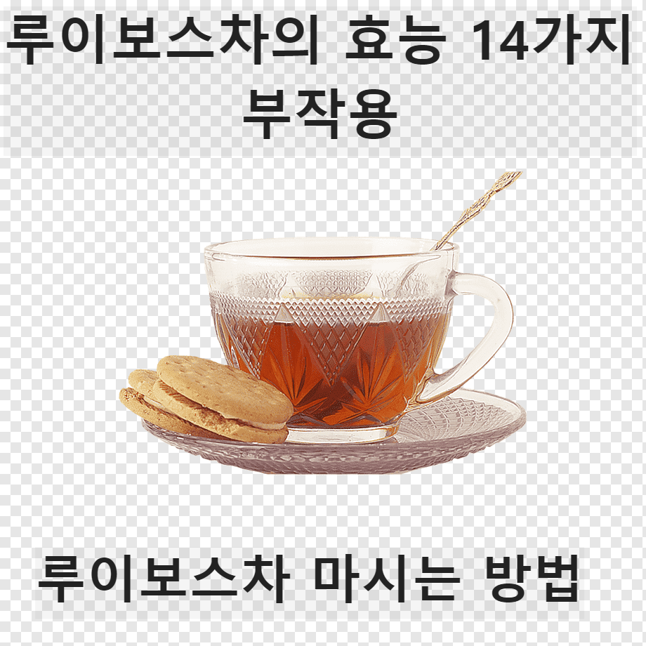 루이보스차의-효능-14가지-부작용-마시는-방법