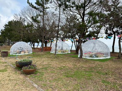 진도 신비의 바닷길 축제2