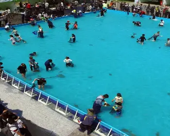 서천 자연산 광어 도미축제_8